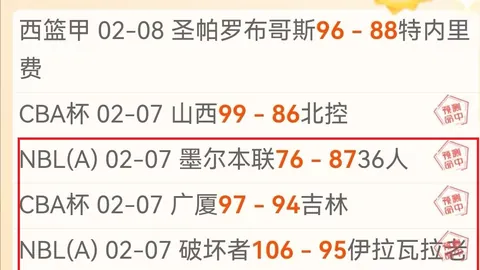 王大雷染红牌，鲁能惊险维持积分
